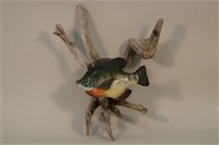 9" Bluegill Hand Carved by William Sikkema of the