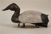 Canvasback Drake Duck Decoy by Paul Radmach, Lk