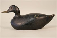 Black Duck Decoy by Unknown Michigan Carver,