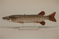 Bob Miller of Fife Lake Mi, 11" Muskie Fish