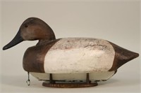 Frank Schmidt Centerline Mi, Canvasback Hen Duck