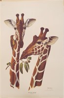 Signed Ray Harm Print, Reticulated Giraffe