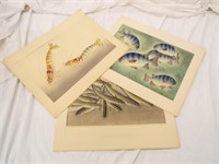 Group Of 3 Signed Oriental Fish Prints