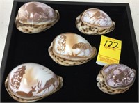 CARVED CAMEOS ON COWRIE SHELLS (5)