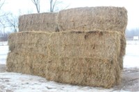 (10) 2016 1ST CROP 3FTx3FTx8FT MIXED GRASS HAY