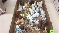 Box lot of cats