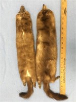 Choice on 2 (84-85): two tanned mink pelts       (
