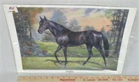Print of Racehorse Ruffian