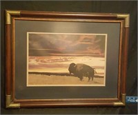 Framed Buffalo Picture