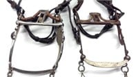 2 Steel Bridles W/ Laminated Silver