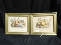 (2) 19th Century Fruit still life prints in