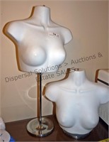 2 Display Busts