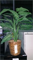 Artificial Plant