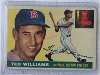 1955 Topps Ted Williams Baseball Card
