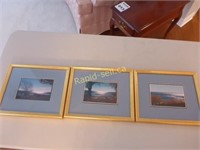Framed Scenery Photo Prints
