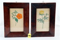 2 Hand Colored Botanical Prints