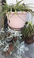 Lot of planters and metal decor