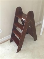 Double Sided Library Ladder