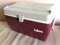 Igloo Cooler With Tray