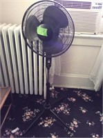 Floor Fan, Adjustable