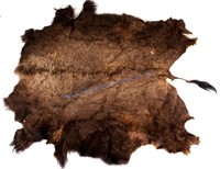 Montana Wild Buffalo Fur Hide Rug