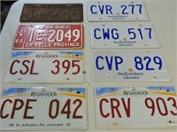 Lot of Eight License Plates