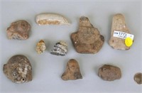 Group Pre-Columbian Pottery Fragments