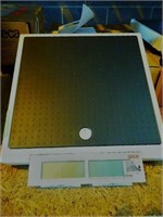 Personal weigh scale