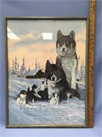 Framed Iditarod poster by Jon Van Zyle - signed by