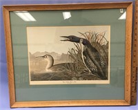 Choice on 3 (8-10): framed pictures of birds from