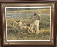 Double matted and framed print of African Lionesse