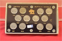 (12) Different Dated Buffalo Nickels in holder