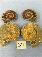 Lot of 2 pairs of polished ammonite fossils  (2)
