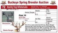 Pink 10  bred doe - Maxbo Ranger