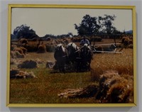 Farm / Hay Cutting Framed Photo