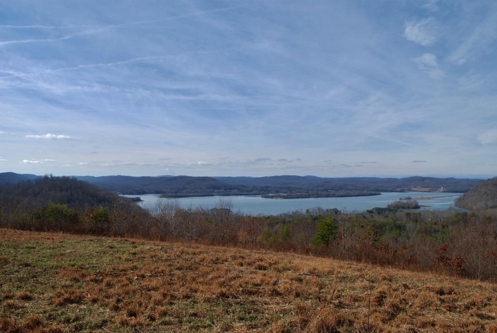 Watts Bar Lakefront Land Auction - 144 acres