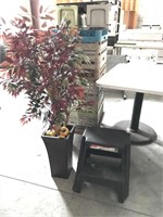 Step Stool and Pepper Plant