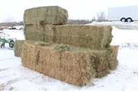 (8) 2016 1ST CROP 3FTx3FTx8FT GRASS HAY BALES