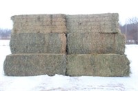 (8) 2016 1ST CROP 3FTx3FTx8FT GRASS HAY BALES