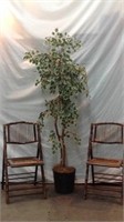 Two Bamboo Chairs & Faux Tree In Wicker Planter