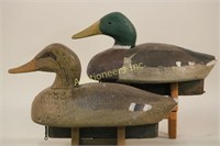 Pair of Drake and Hen Mallard Duck Decoys by