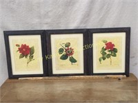 Framed Vintage Floral Prints