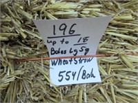 Straw-Lg. Squares-Wheat