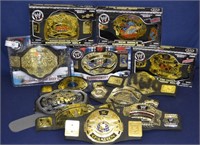 Lot of 12 - WWE Wrestling Championship Belts