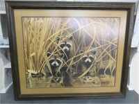 FRAMED PRINT "RACCOONS" SIGNED 28"T X 33"W