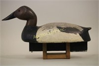 Canvasback Drake Duck Decoy, By Unknown Mi