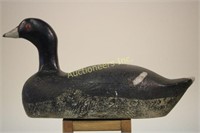 Coot Decoy By Unknown Wisconsin Carver, Solid