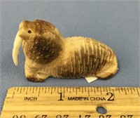 Fossilized walrus ivory walrus, 2.5" long from Gam