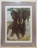 Pencil Signed And Numbered Elephant Print