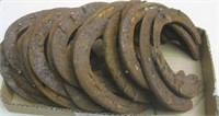 Lot of Horseshoes